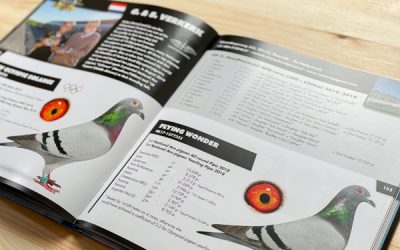 Hoe lever je je boek aan bij je vormgever?