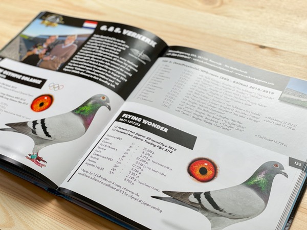Hoe lever je je boek aan bij je vormgever?